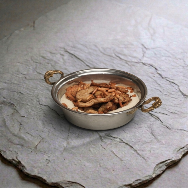 Hummus with chicken Shawarma